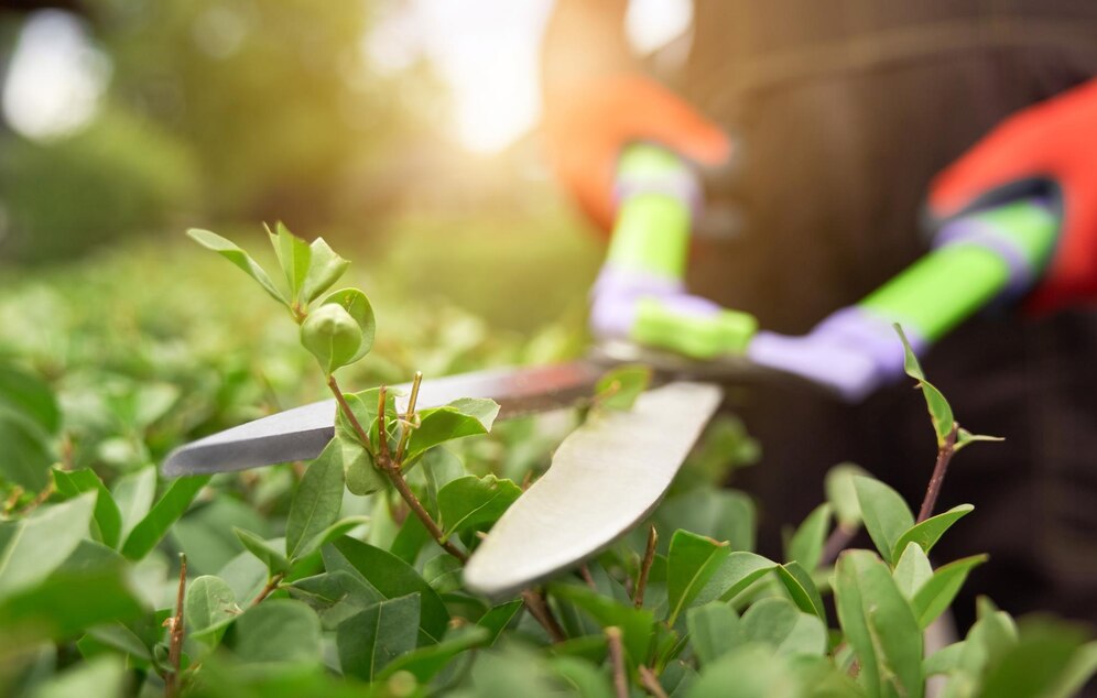 Operatore del giardinaggio – Lovere (ediz. giugno 2024)